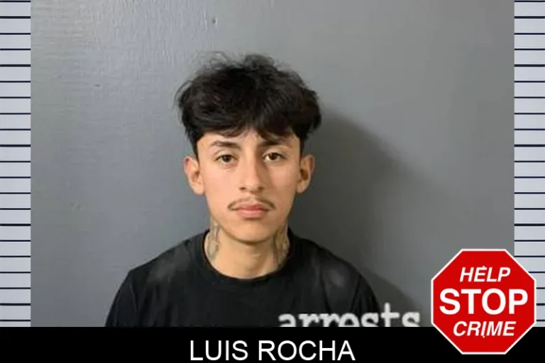 Luis Rocha