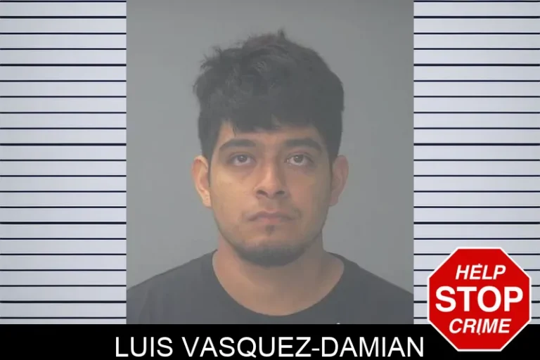 Luis Vasquez-Damian