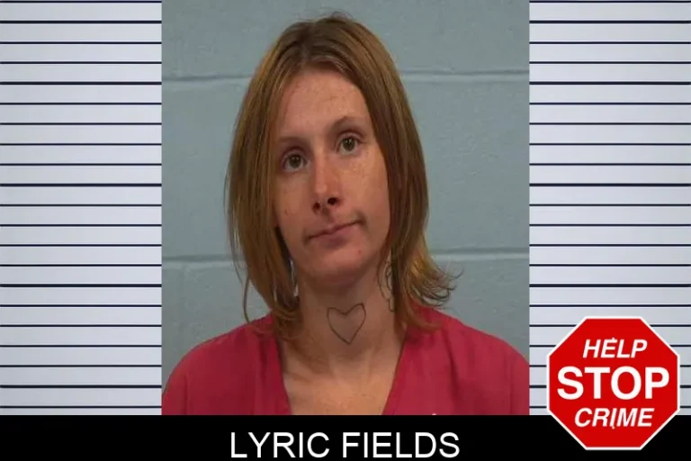 Lyric Fields