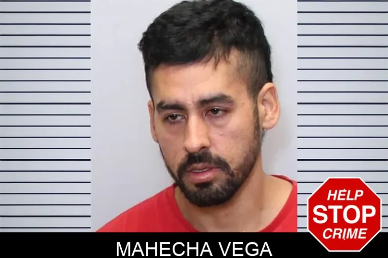Mahecha Vega
