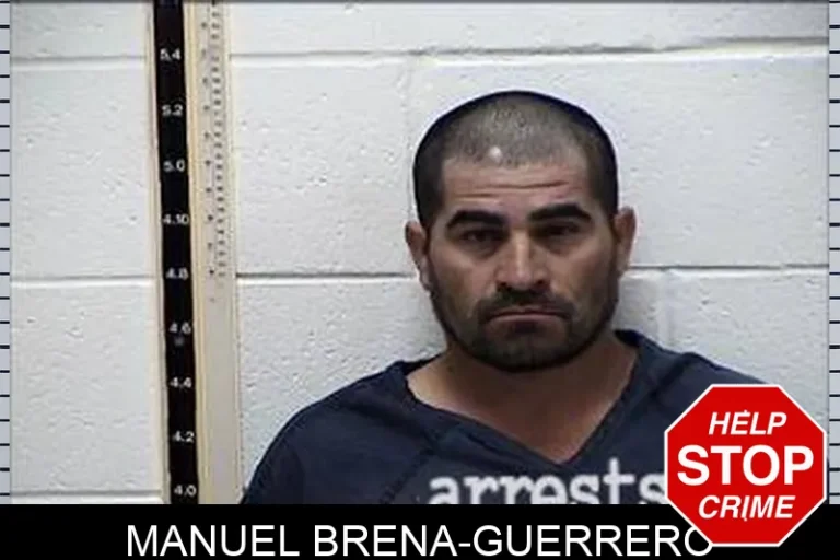 Manuel Brena-Guerrero