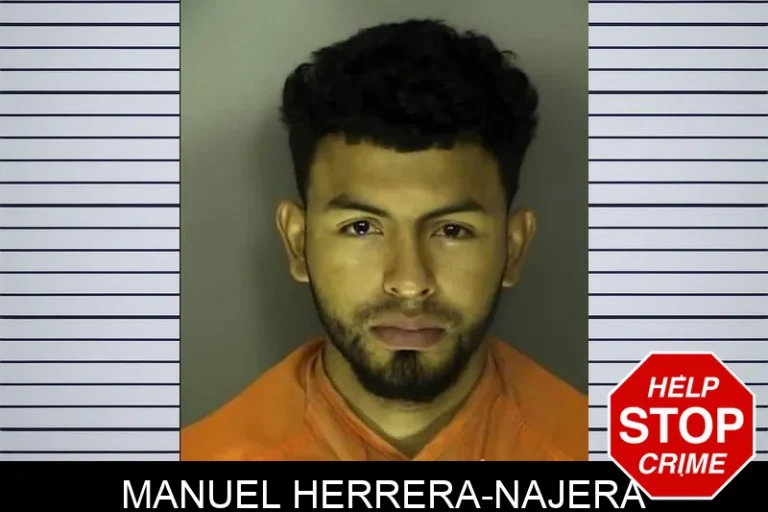 Manuel Herrera-Najera