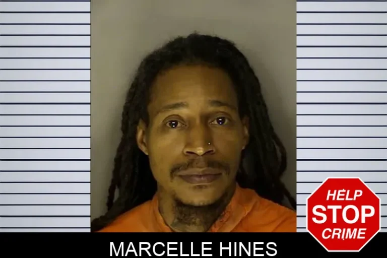 Marcelle Hines