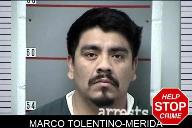 Marco Tolentino-Merida