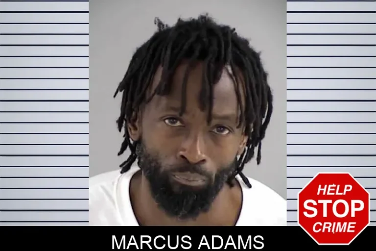 Marcus Adams