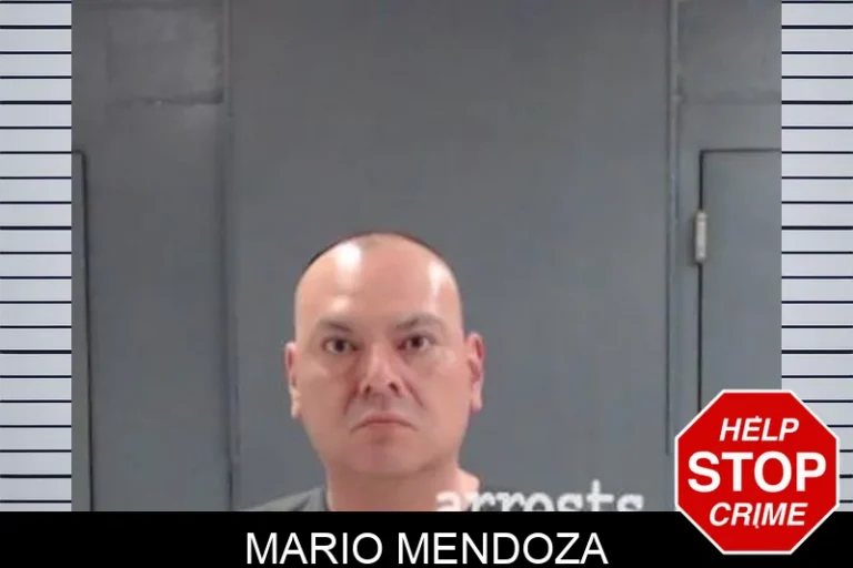 Mario Mendoza