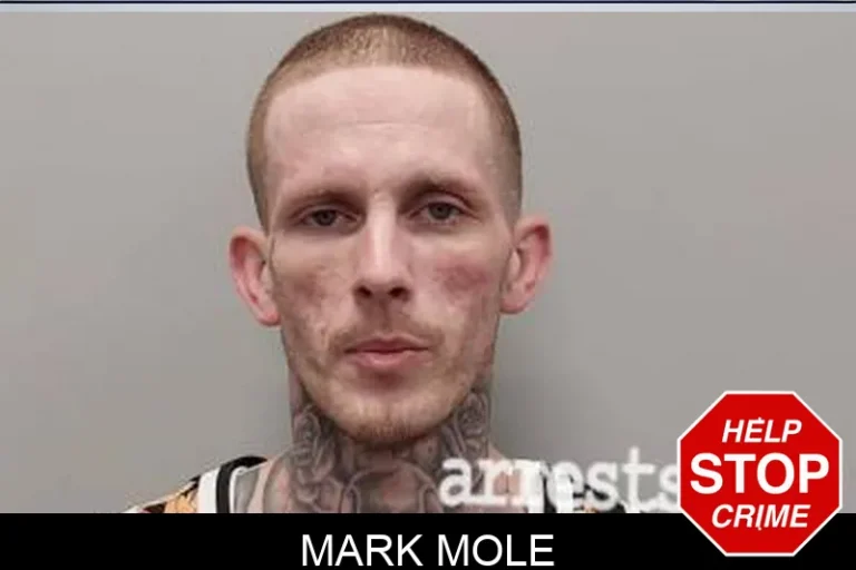Mark Mole