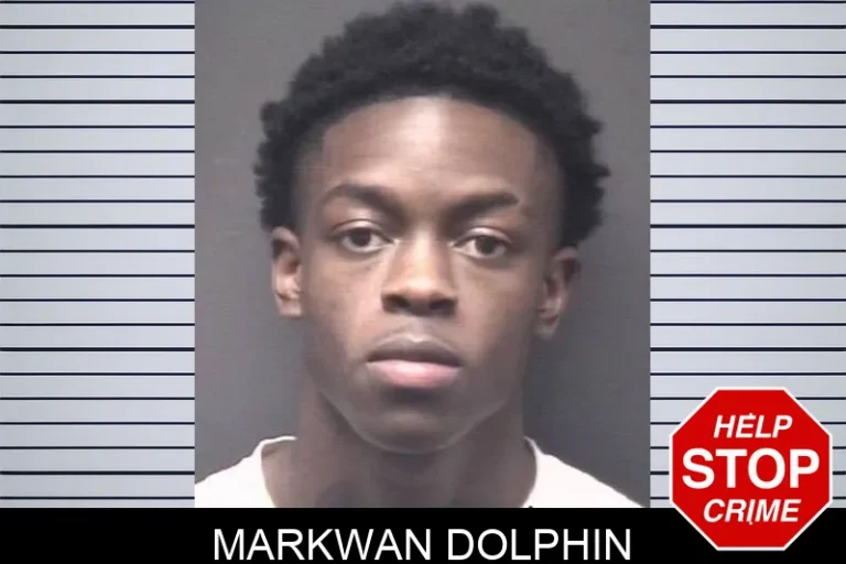 Markwan Dolphin