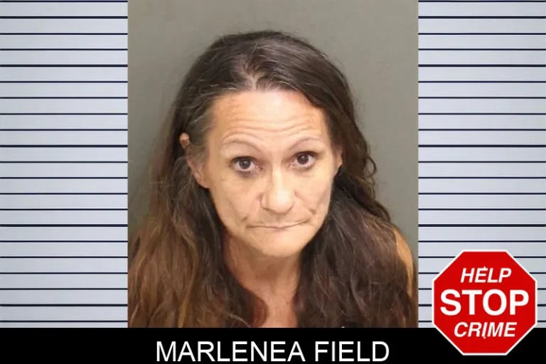 Marlenea Field