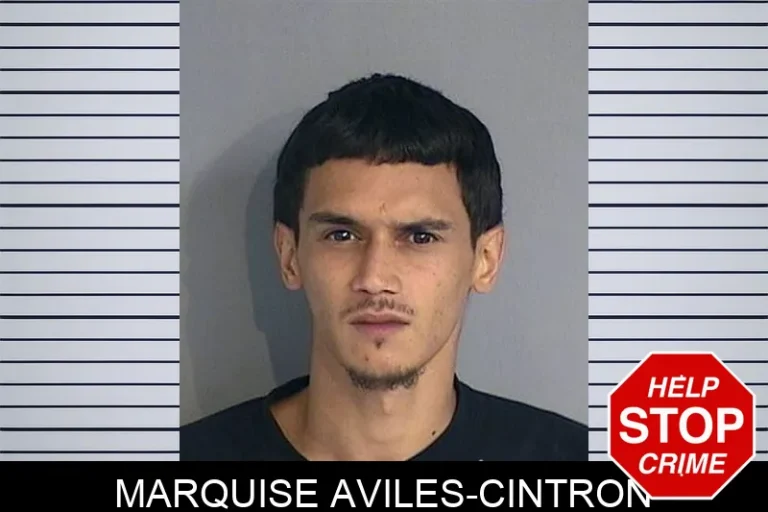 Marquise Aviles-Cintron