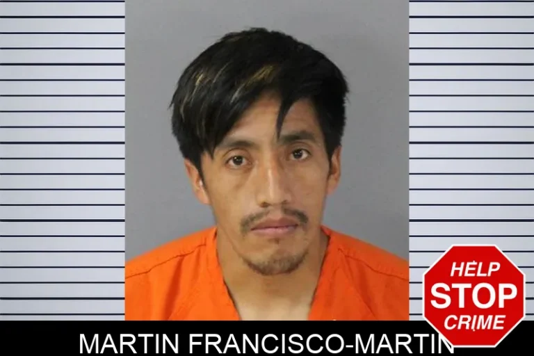Martin Francisco-Martin