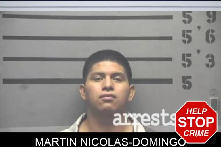 Martin Nicolas-Domingo