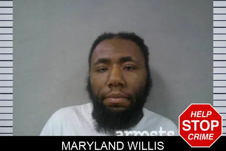 Maryland Willis
