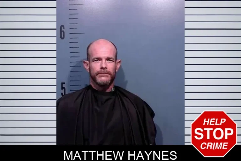 Matthew Haynes