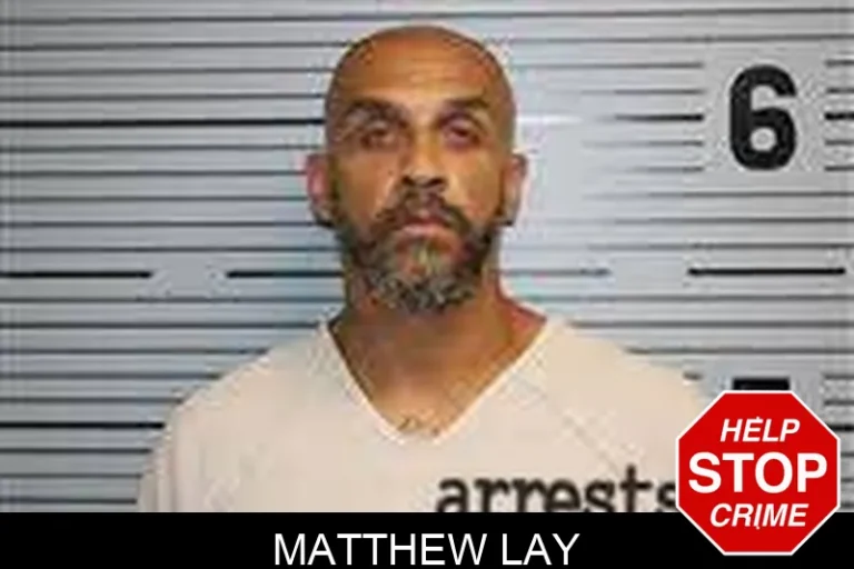 Matthew Lay