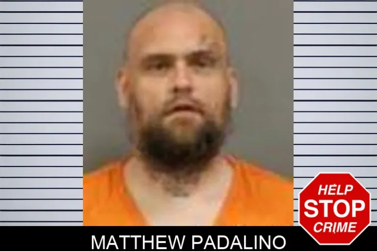 Matthew Padalino