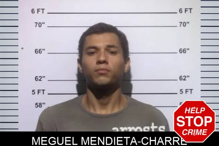 Meguel Mendieta-Charre