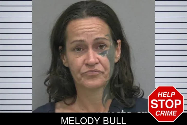 Melody Bull