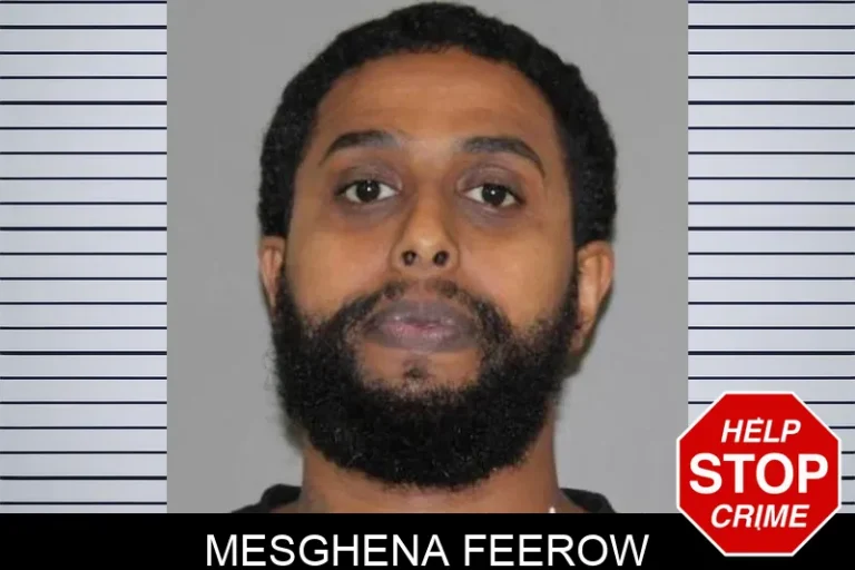 Mesghena Feerow