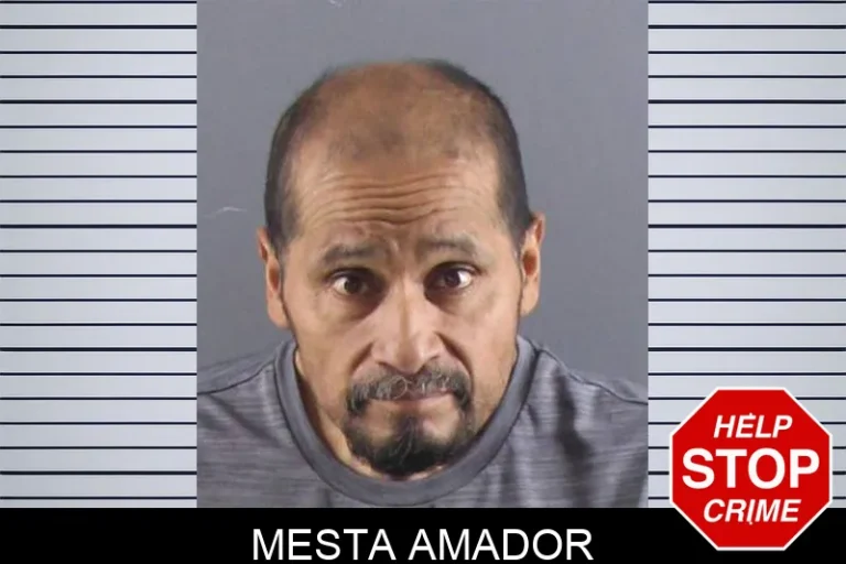 Mesta Amador