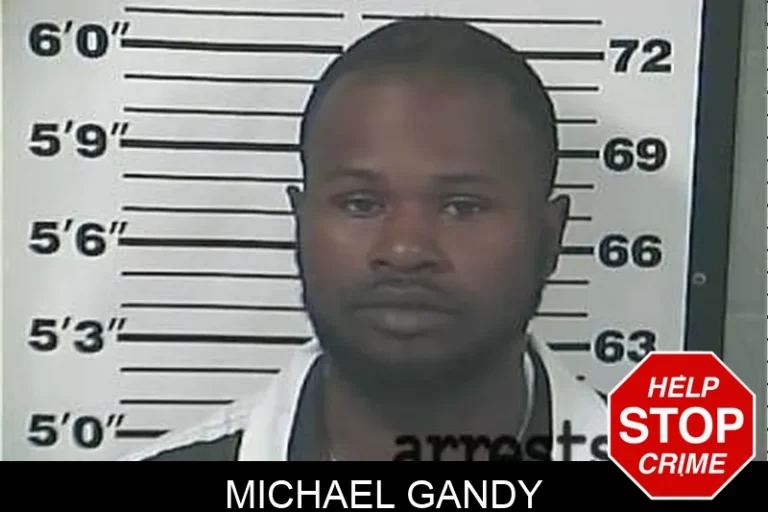 Michael Gandy