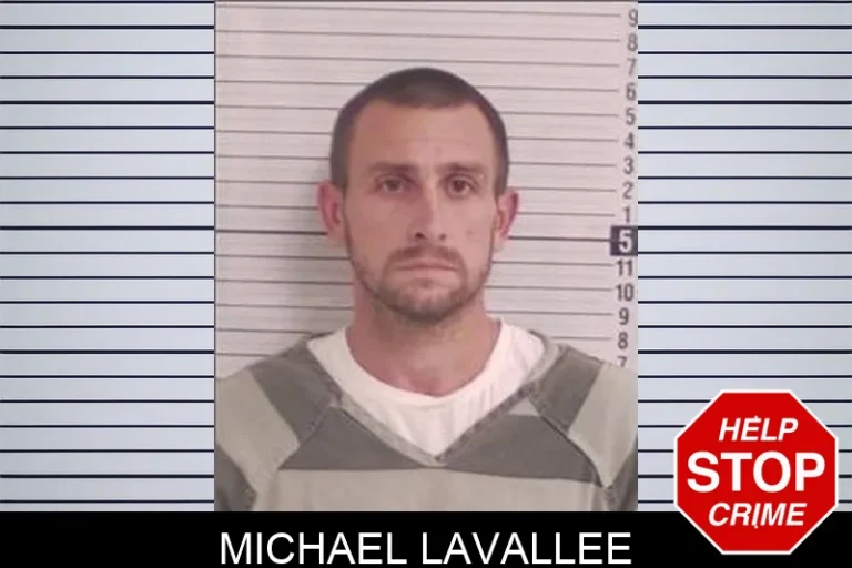 Michael Lavallee