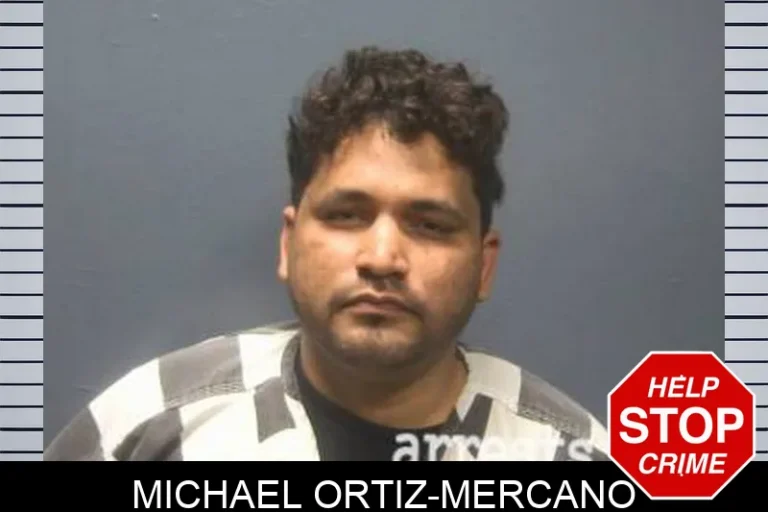 Michael Ortiz-Mercano