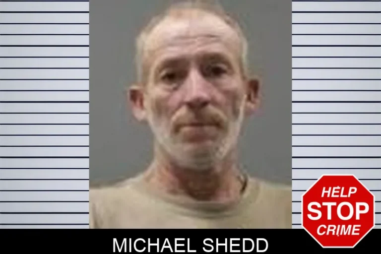 Michael Shedd