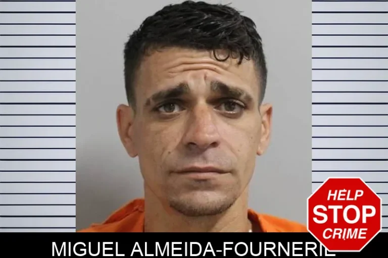 Miguel Almeida-Fournerie