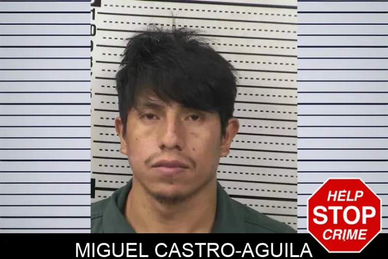 Miguel Castro-Aguila