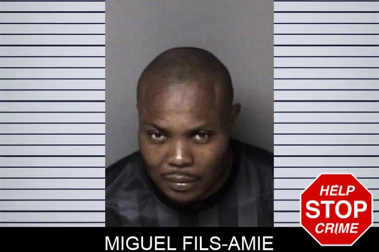 Miguel Fils-Amie
