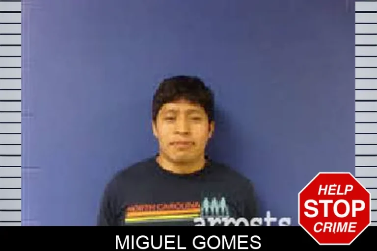 Miguel Gomes