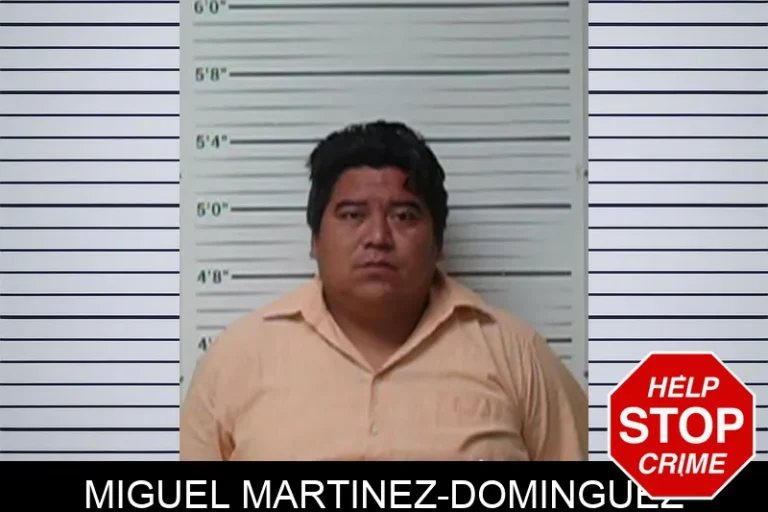 Miguel Martinez-Dominguez