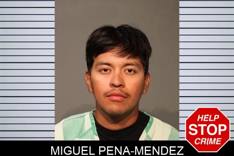 Miguel Pena-Mendez