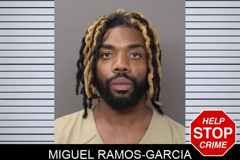 Miguel Ramos-Garcia