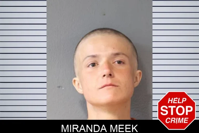 Miranda Meek
