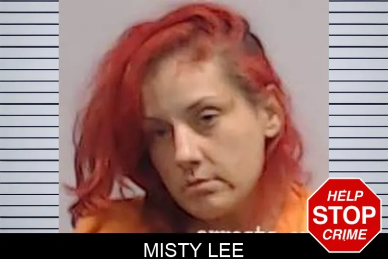 Misty Lee