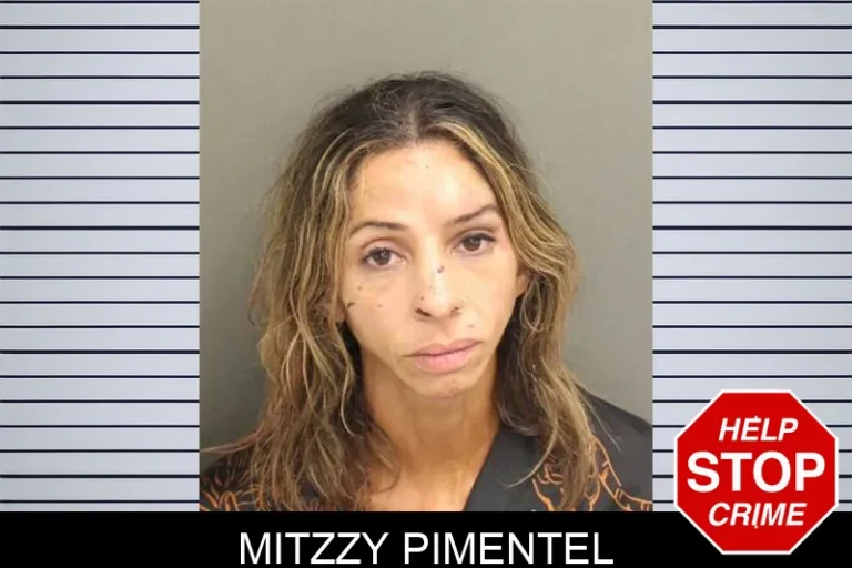 Mitzzy Pimentel