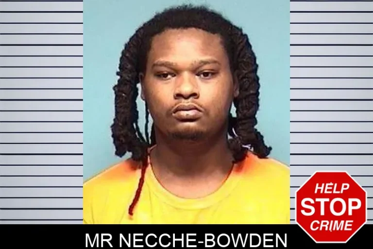 Mr Necche-Bowden