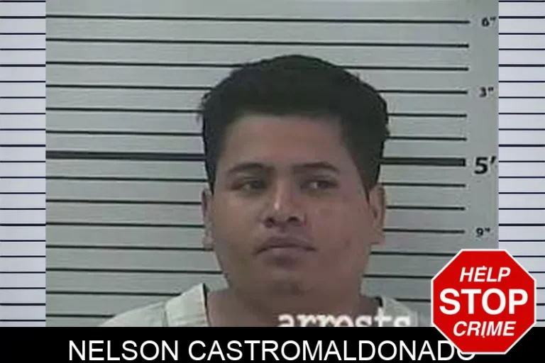 Nelson CastroMaldonado