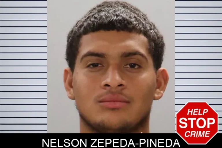 Nelson Zepeda-Pineda