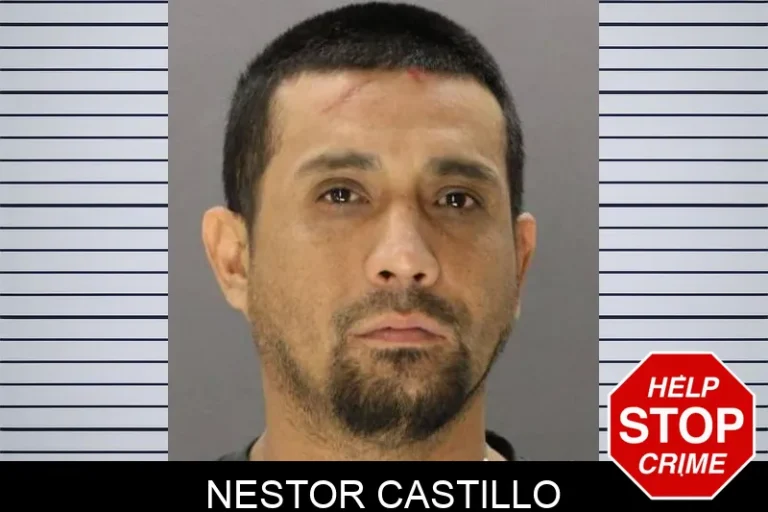 Nestor Castillo