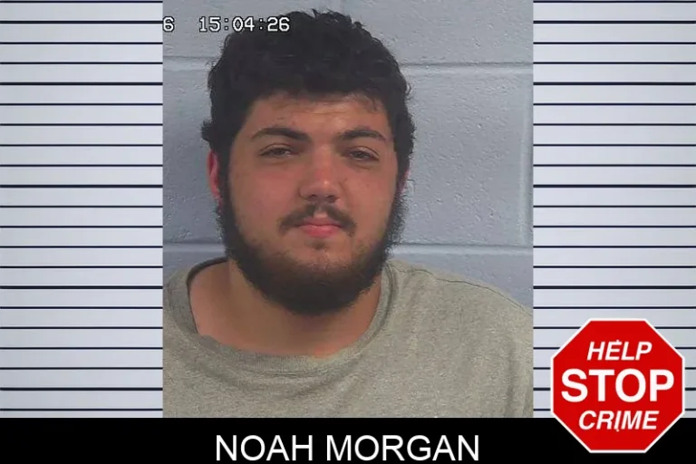 Noah Morgan