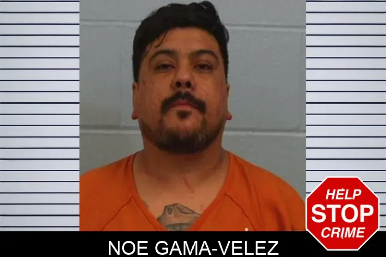 Noe Gama-Velez