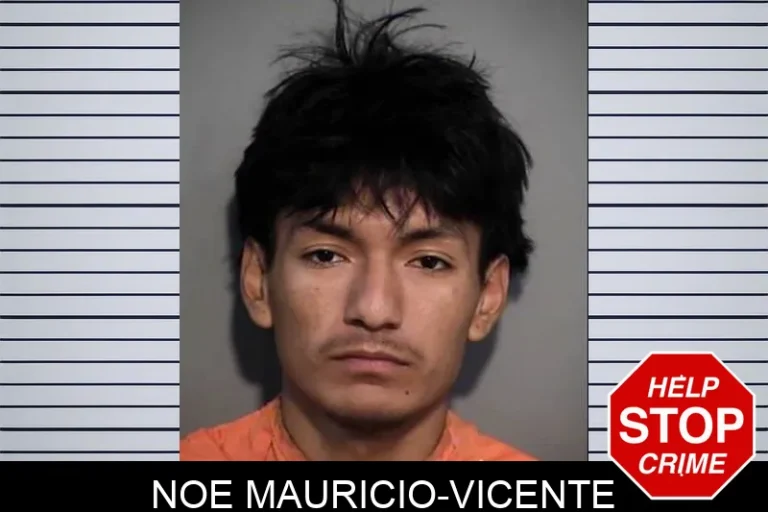 Noe Mauricio-Vicente