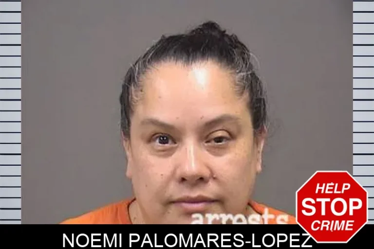 Noemi Palomares-Lopez