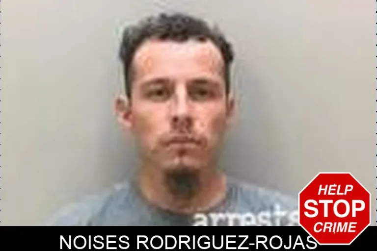 Noises Rodriguez-Rojas