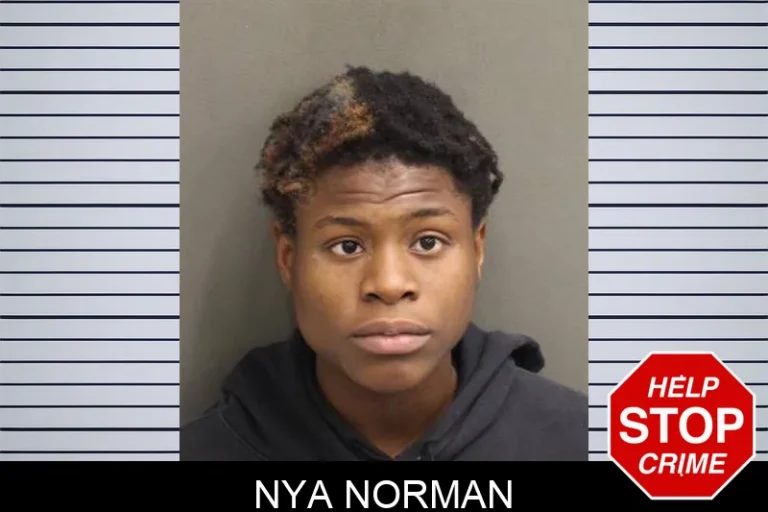 Nya Norman