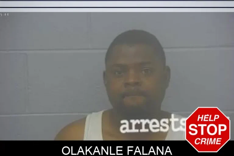 Olakanle Falana