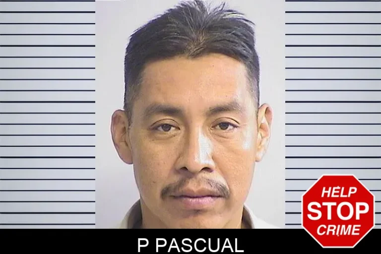 P Pascual